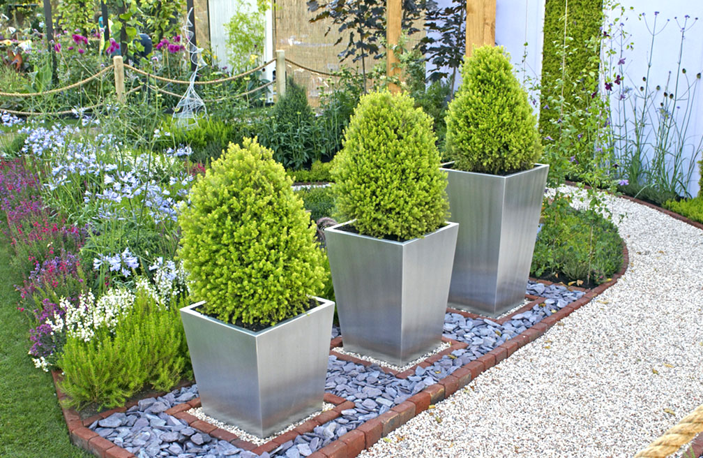 Buxus topiary in moderne trendy tuin