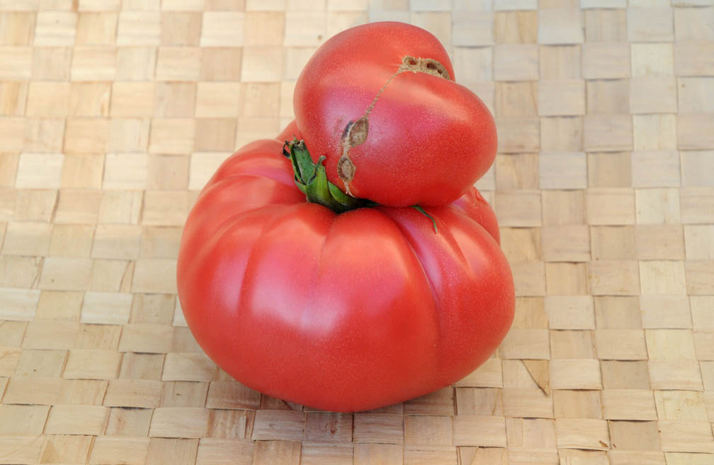 gekke_groenten_tomaat