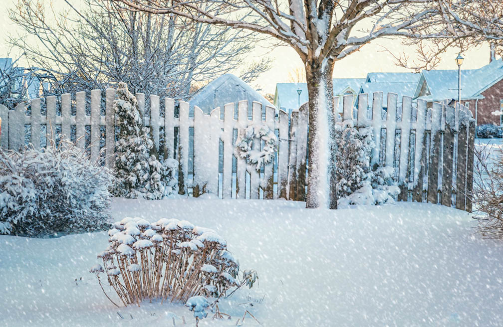 Wat te doen bij sneeuw in de tuin om je planten te beschermen
