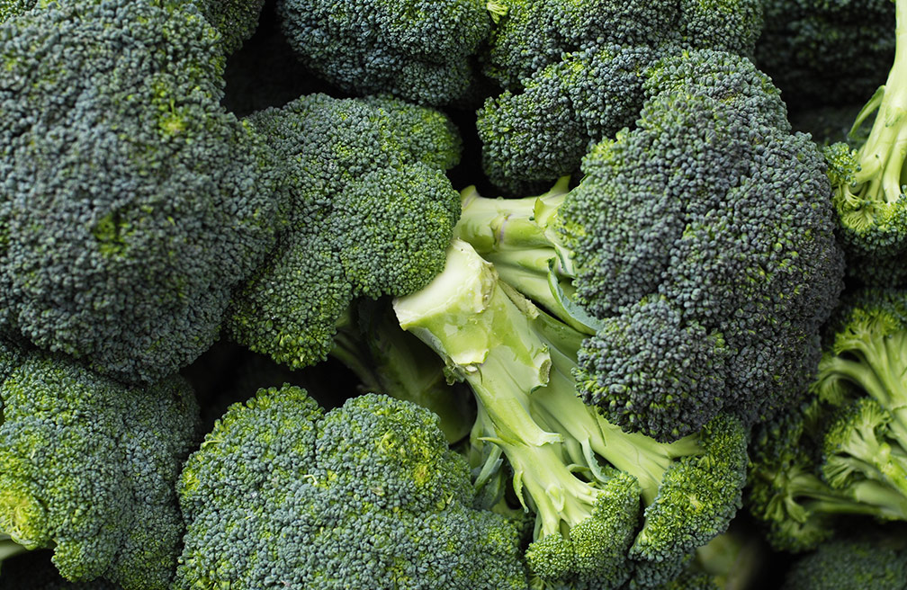 oogst_broccoli