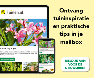 Tuinen.nl nieuwsbrief
