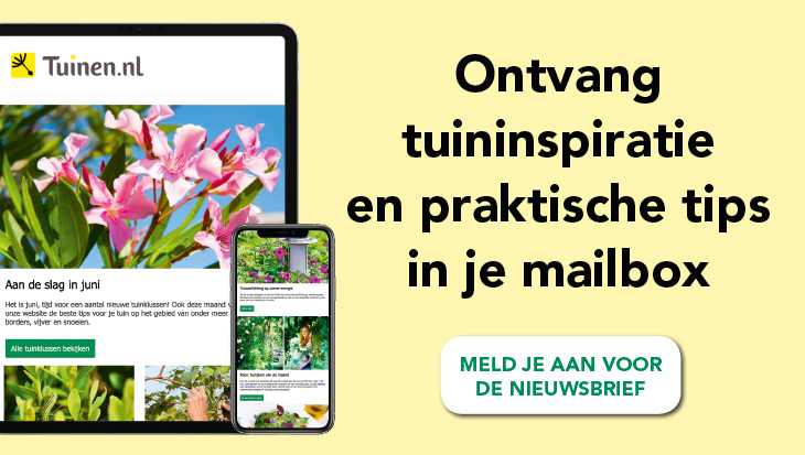 Tuinen.nl nieuwsbrief