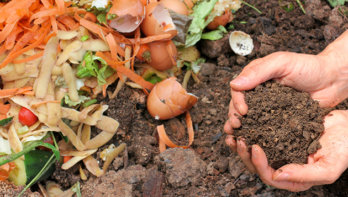Compost als bodemverbeteraar