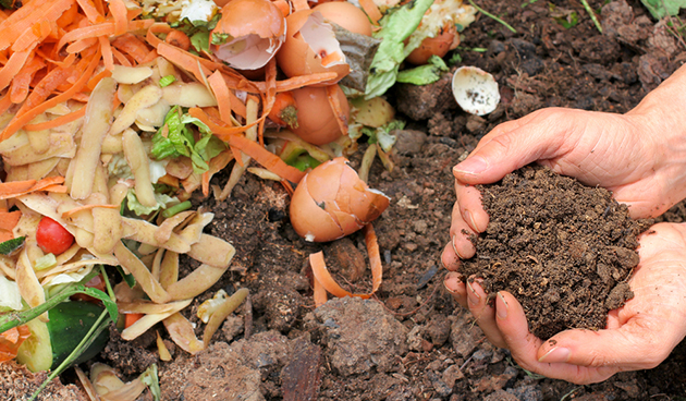 7 tips voor compost